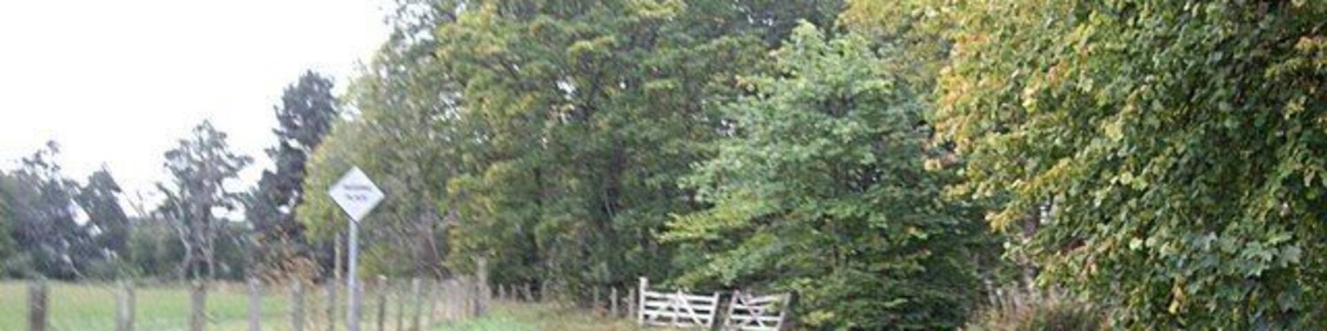 Bend in road Between Tomnacross and Belladrum.