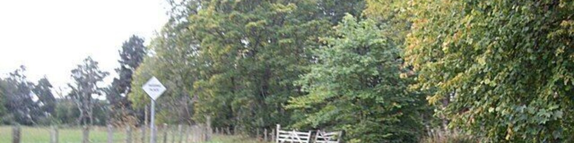 Bend in road Between Tomnacross and Belladrum.