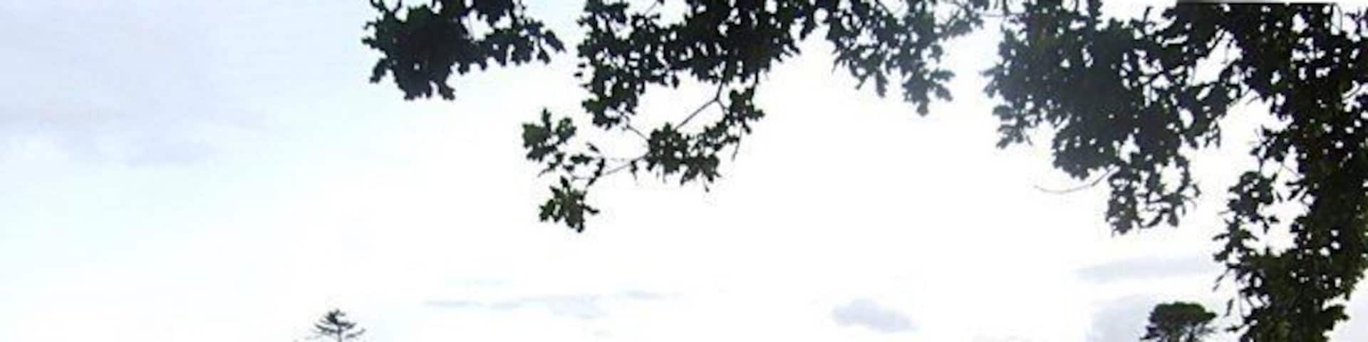 Farm buildings Seen from Tomnacross graveyard.