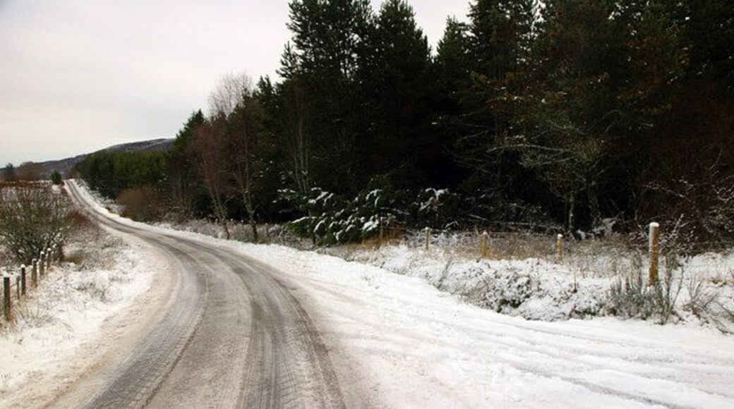 Abriachan to Foxhole road Looking in the direction of Abriachan.