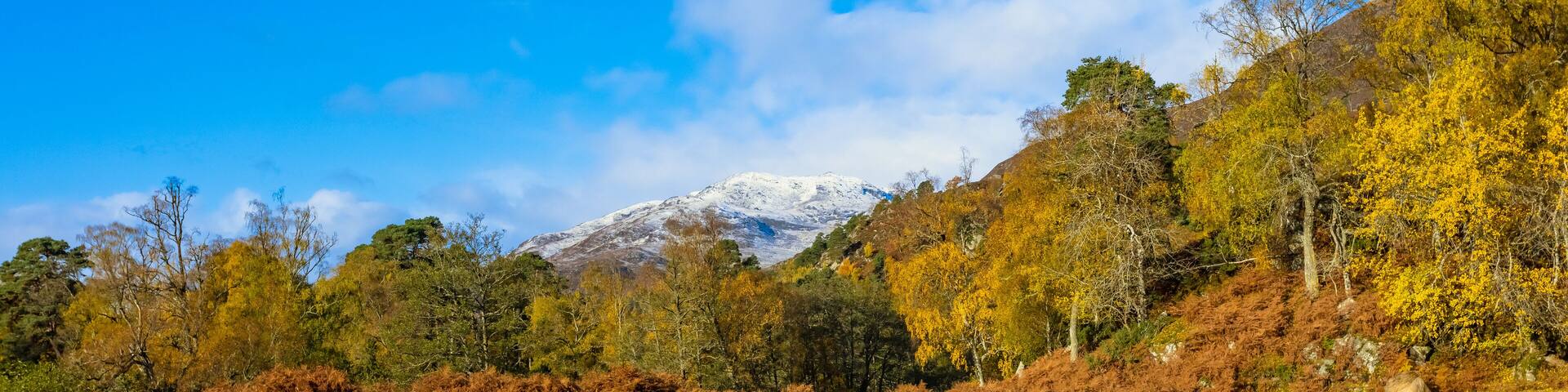 Glen Strathfarrar in Autumn or Fall. A panoramic view of the Glen with golden ferns, silver birch and a snow topped mountain or munro. Blue Sky. Space for copy.
