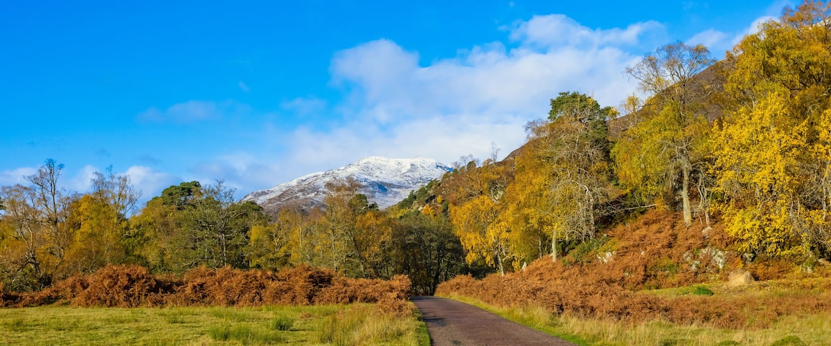 A mountain with a snow-capped peak, surrounded by autumn-colored trees and a clear blue sky.