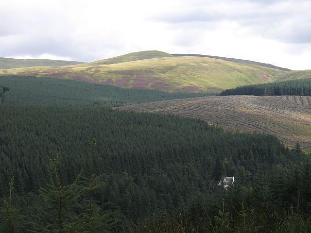 Victoria Lodge The big house by Talla Reservoir now swamped in trees. Mathieside Cairn above.