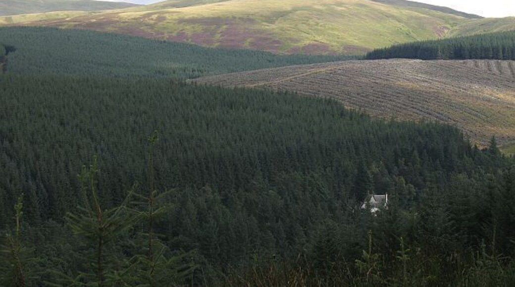 Victoria Lodge The big house by Talla Reservoir now swamped in trees. Mathieside Cairn above.