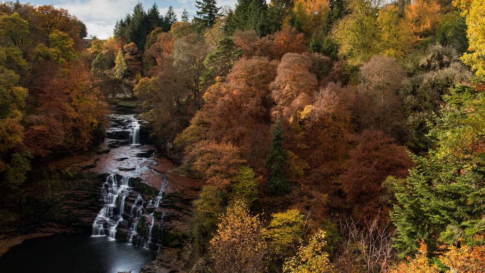 Falls of Clyde