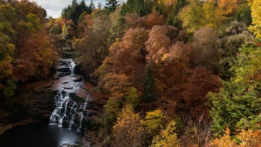 Biggar