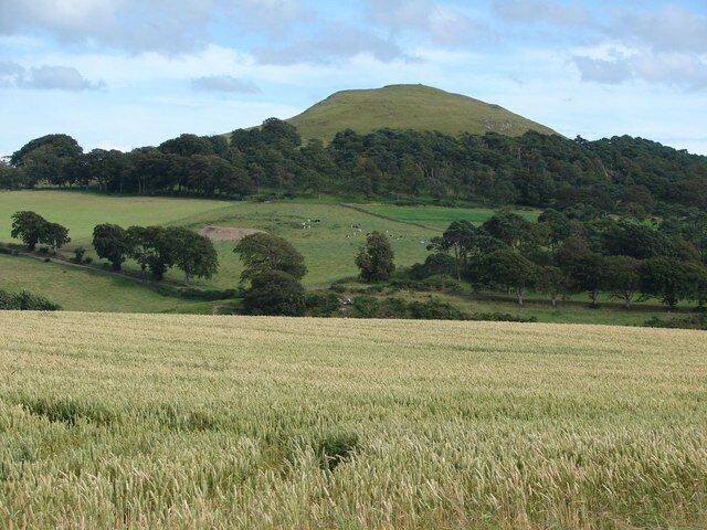 Quothquan Law from Covington Quothquan Law in summertime, as viewed from the cottages at Covington. A field of wheat manages to grow in the foreground during a wet summer in the UK.