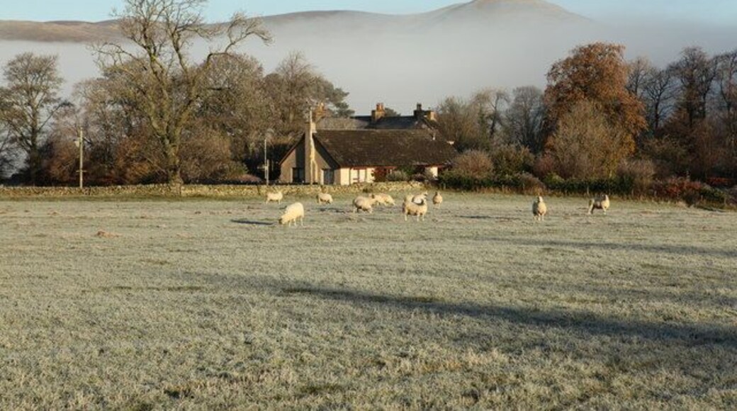 Drumelzier Looking across grazing land to a house on the edge of Drumelzier. Traheena Hill just poking through the mist that clagged the glen for the whole day.