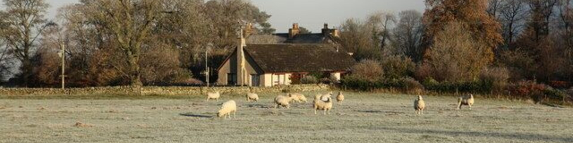 Drumelzier Looking across grazing land to a house on the edge of Drumelzier. Traheena Hill just poking through the mist that clagged the glen for the whole day.