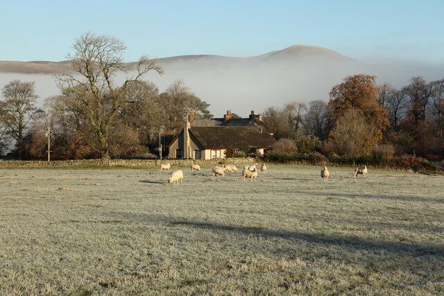 A rural landscape with a house, grazing sheep, and a misty mountain backdrop.