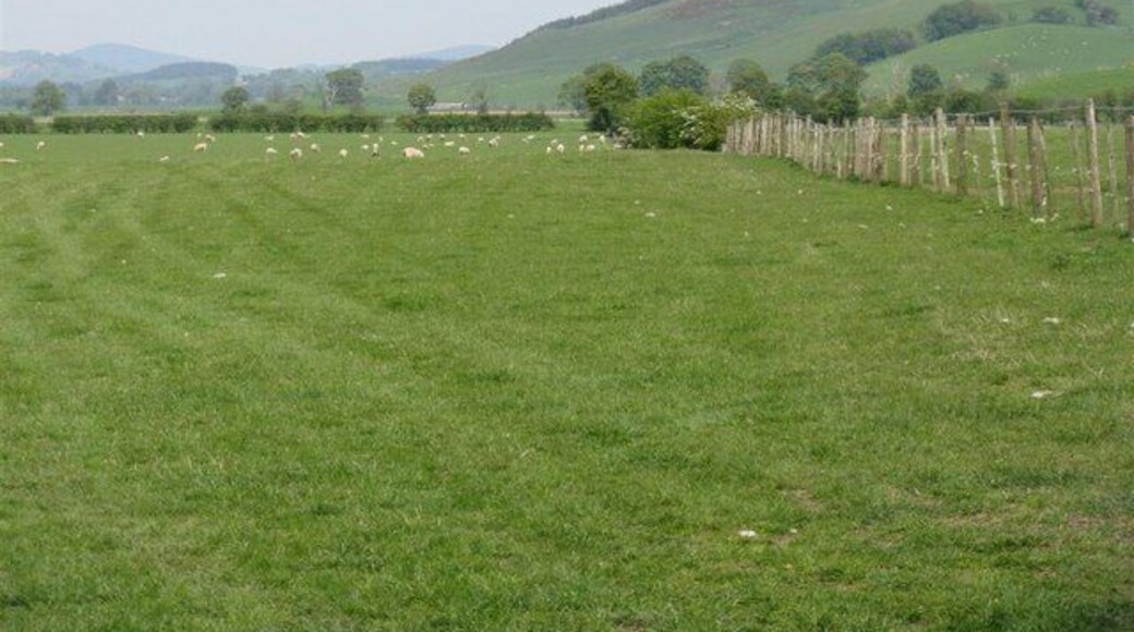 Clyde valley pasture at Lamington