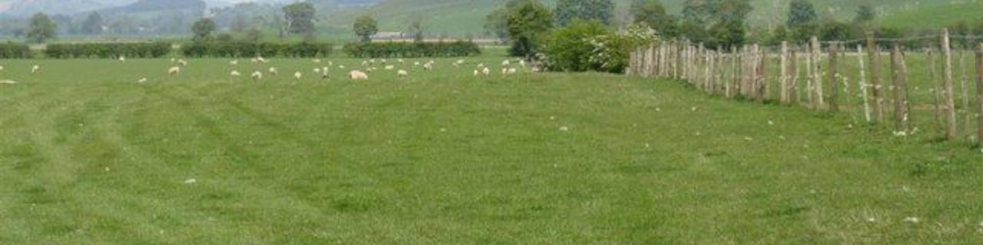Clyde valley pasture at Lamington