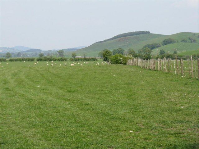 A green field with a fence and sheep in the distance.
