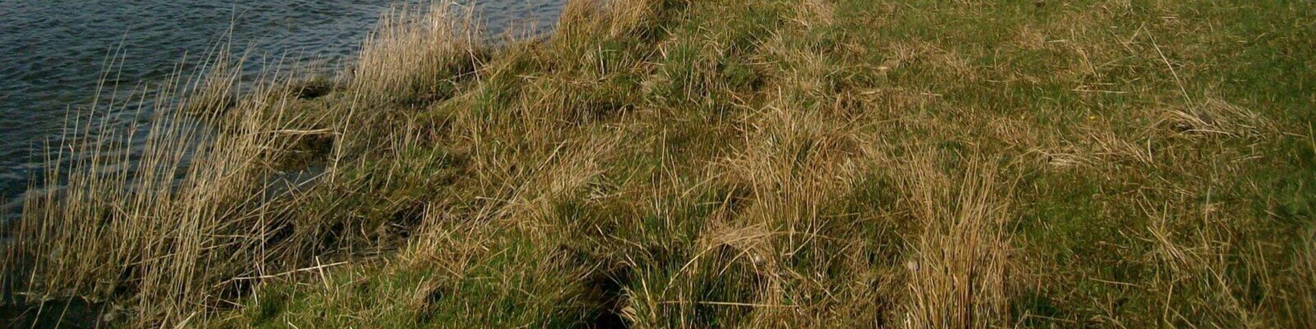 River Clyde, near Abington