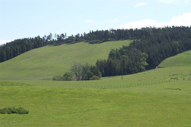 Woods on Unthank Hill.