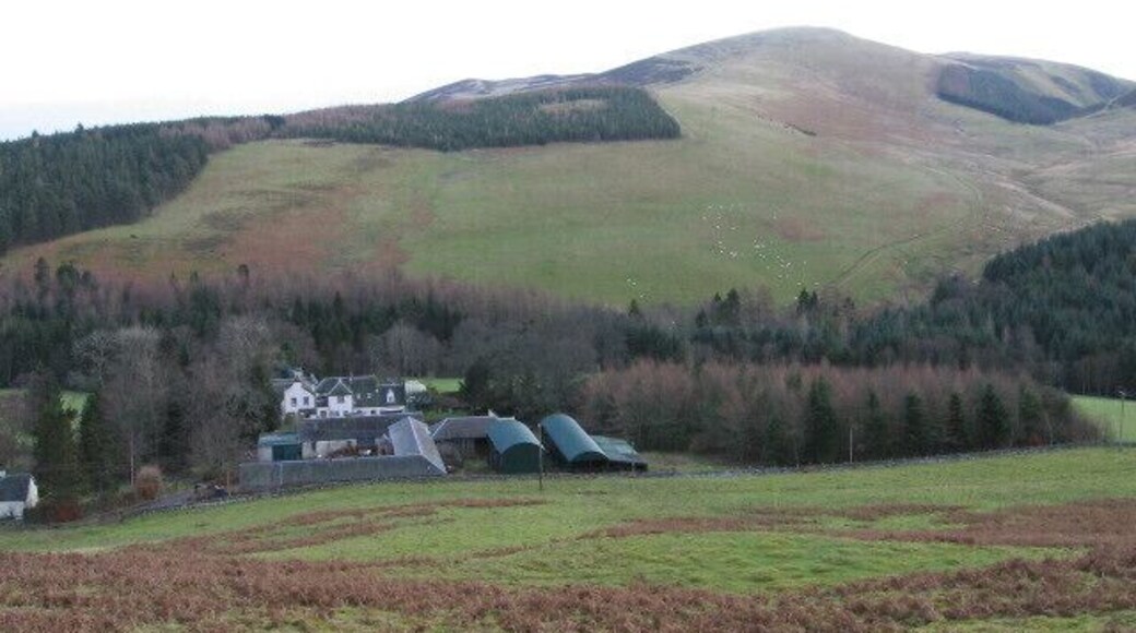 On Startup Hill looking toward Lamington Hill