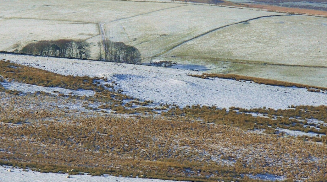 Bronze age scooped settlement The circular feature outlined in the snow probably represents an undefended settlement of possible Bronze Age date and is a rare example for Upper Clydesdale. Cairn Kinney in the background.