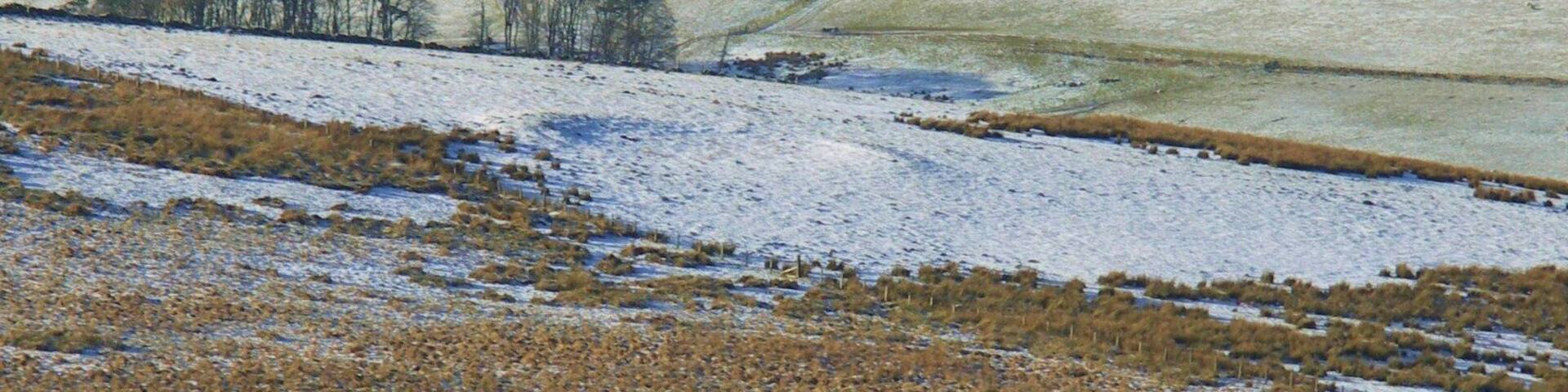 Bronze age scooped settlement The circular feature outlined in the snow probably represents an undefended settlement of possible Bronze Age date and is a rare example for Upper Clydesdale. Cairn Kinney in the background.