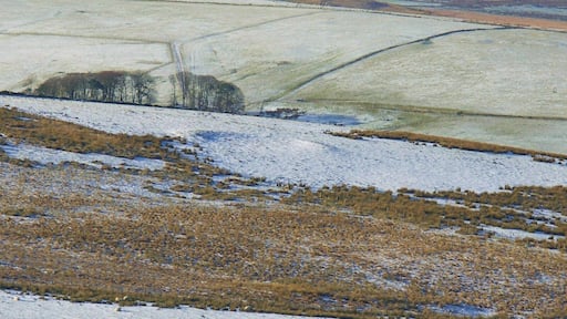 Bronze age scooped settlement The circular feature outlined in the snow probably represents an undefended settlement of possible Bronze Age date and is a rare example for Upper Clydesdale. Cairn Kinney in the background.