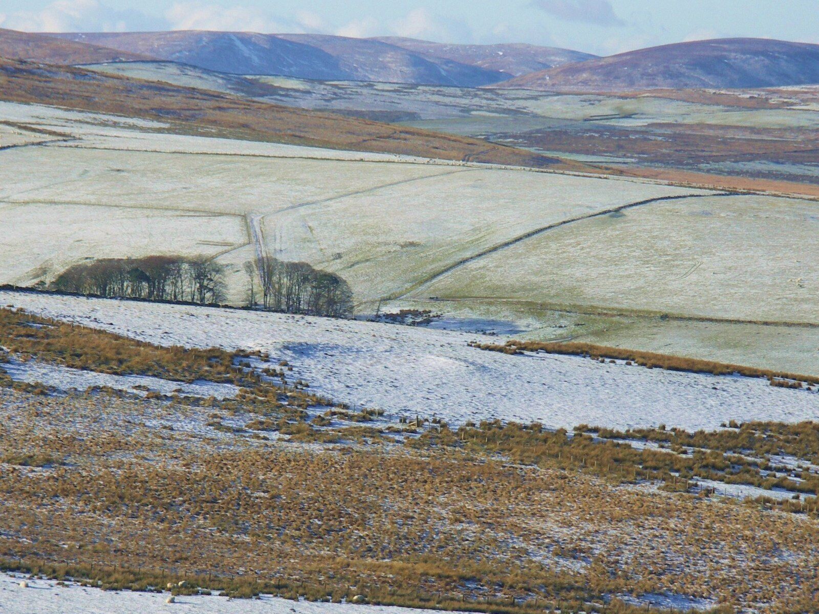 A snow-covered landscape with rolling hills and sparse vegetation.