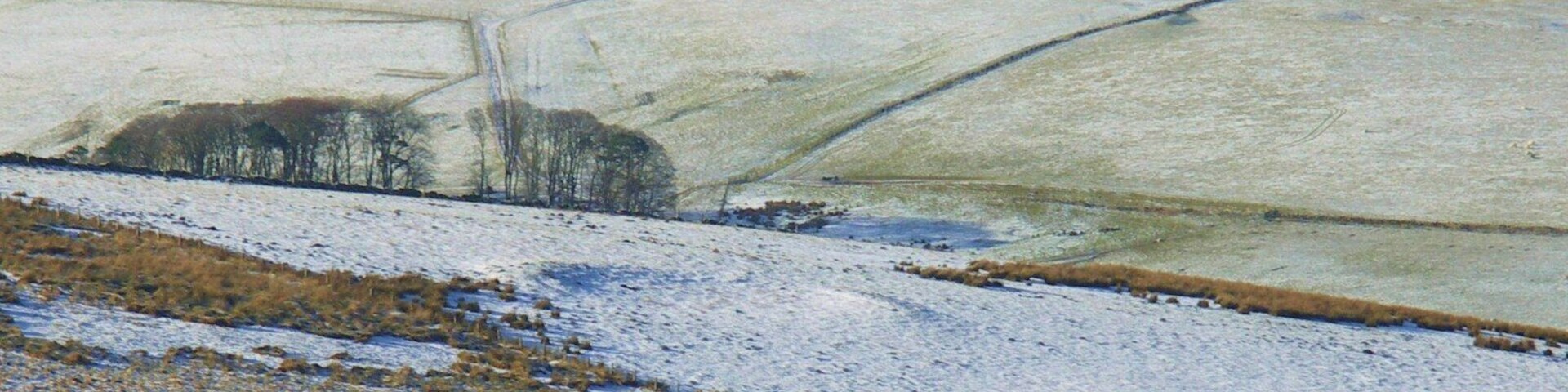 A snow-covered landscape with rolling hills and sparse vegetation.