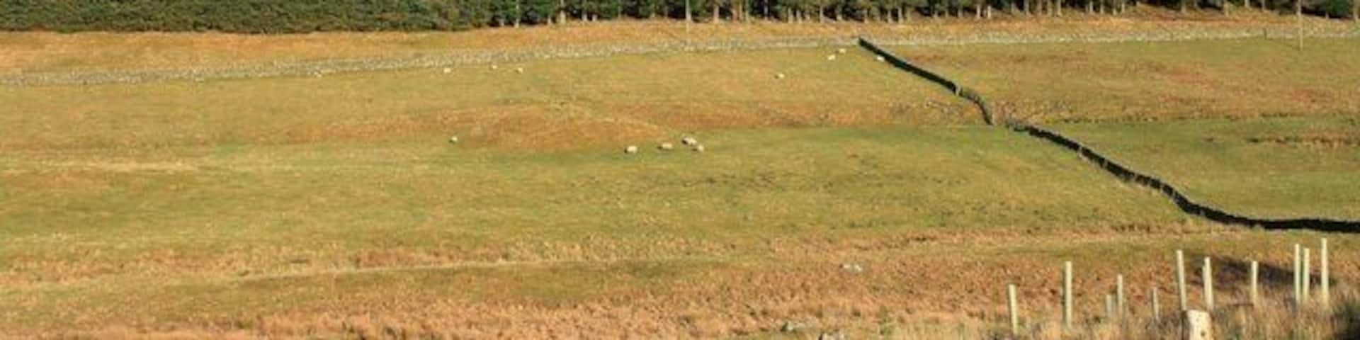 Cockiland Hill Looking across to Cockiland Hill.