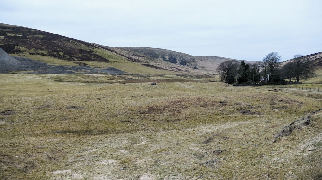 Meadowfoot from Wanlockhead