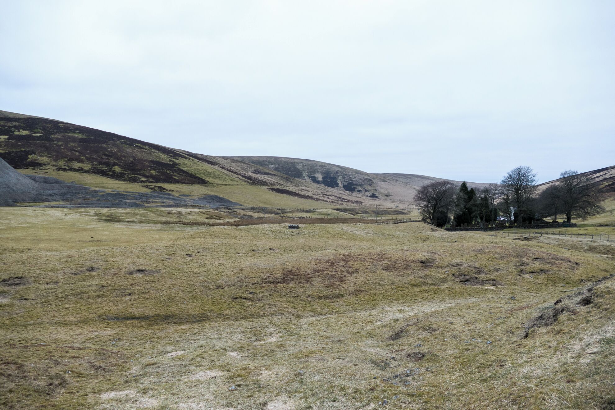 A hilly landscape with sparse vegetation and a few trees.