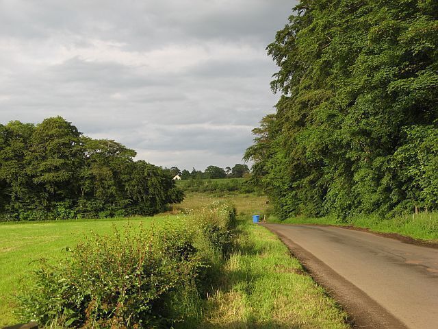 Quothquan-Shieldhill road This road is flanked by one or more strip woods for several miles.