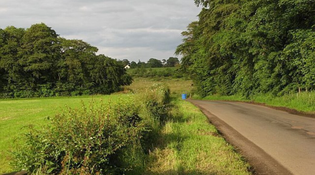 Quothquan-Shieldhill road This road is flanked by one or more strip woods for several miles.