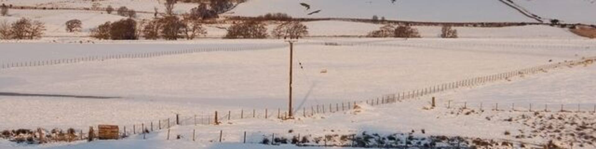 Snow covered fields at Mains of Garten Farm