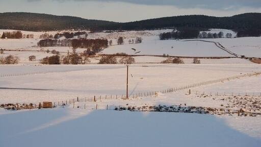 Snow covered fields at Mains of Garten Farm