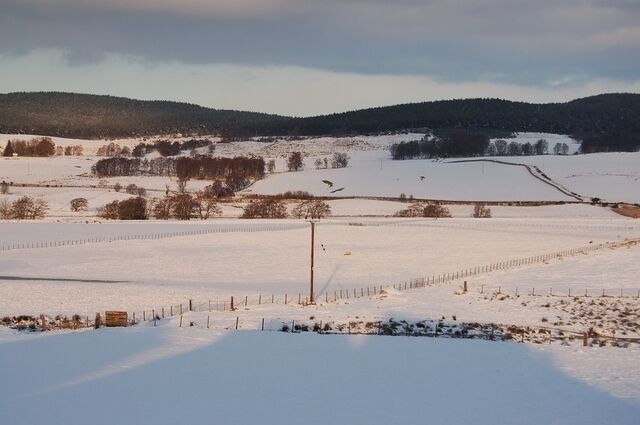 A snow-covered landscape with fields, fences, and distant hills.