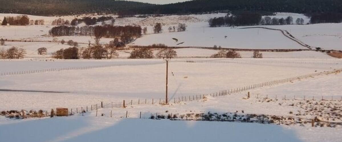 A snow-covered landscape with fields, fences, and distant hills.