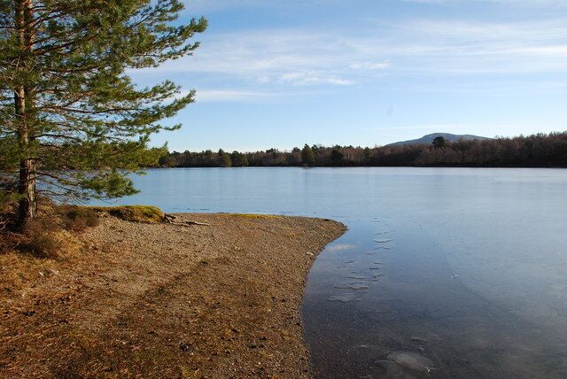 A calm lake with a tree on the left and a forested hill in the background.