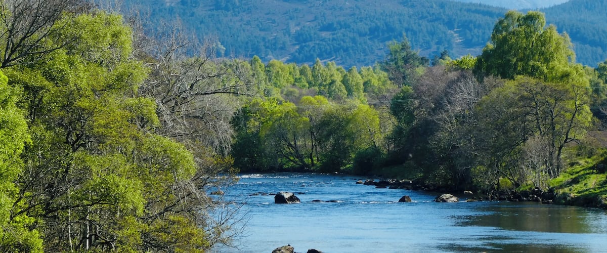 22 degrees Celsius today in the Scottish Highlands and still plenty of snow on the peaks of the Cairngorms overlooking the River Spey at Boat of Garten😊🏴