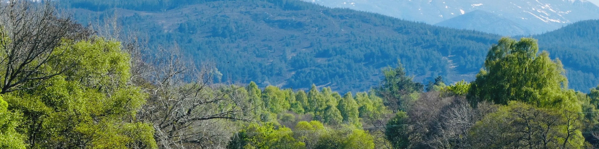 22 degrees Celsius today in the Scottish Highlands and still plenty of snow on the peaks of the Cairngorms overlooking the River Spey at Boat of Garten😊🏴