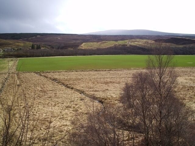 Paisagem rural com um campo verde, pastagem seca e uma linha de árvores.