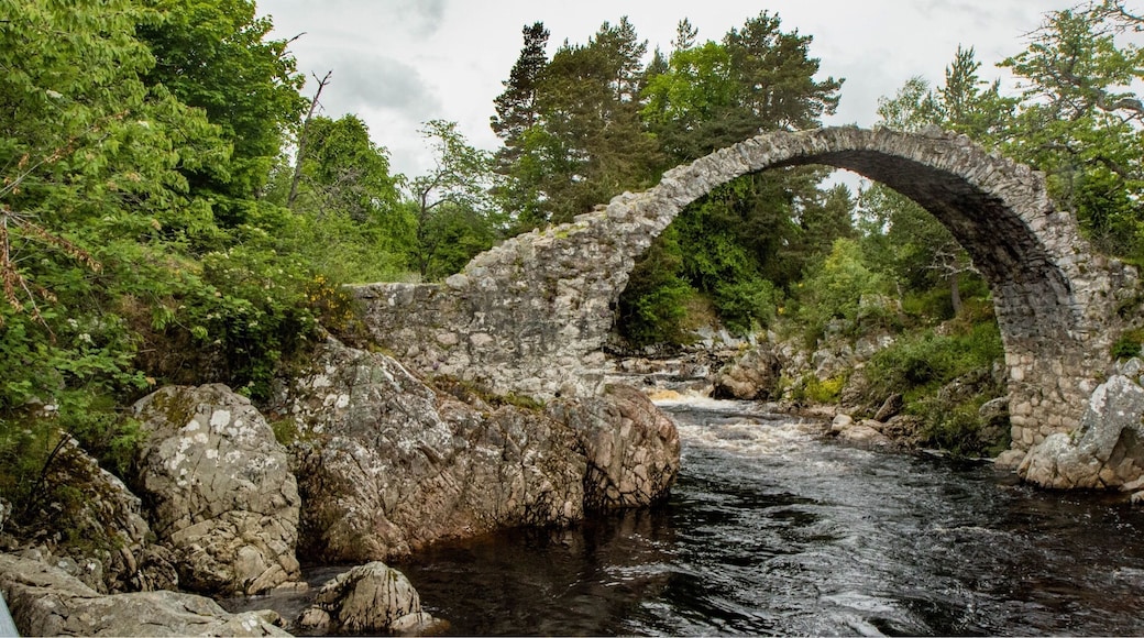 The old cattle bridge at Carrbridge in the cairngorms national park