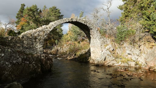 Carrbridge
