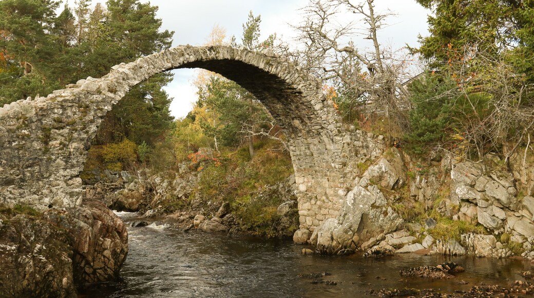 Carrbridge