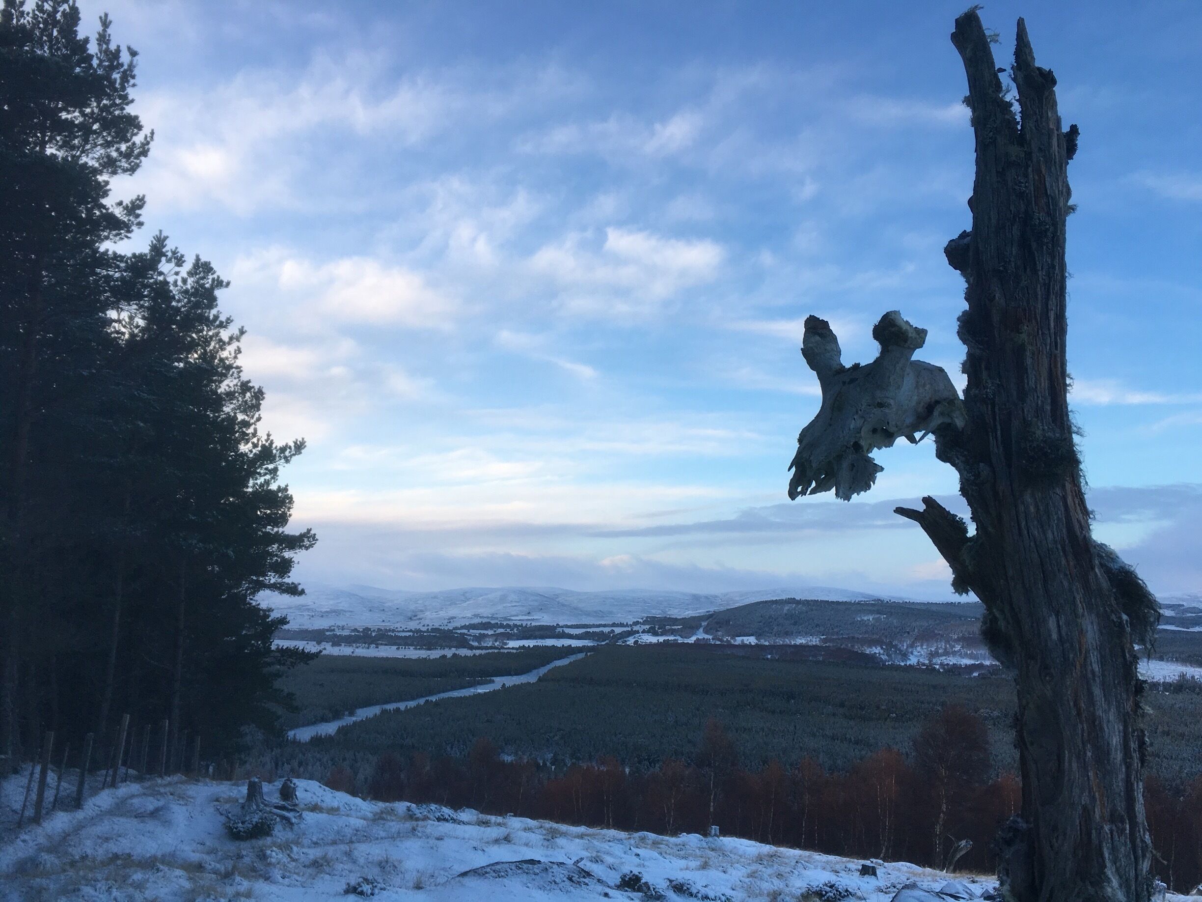 📍The hills, Carrbridge

A picture from a recent walk 🚶‍♂️i went on, living in Carrbridge my whole life i had never actually done this loop until my Father in law discovered it after recently moving to the village. Although we were not the first to try this loop, note the 💀 
#hometown