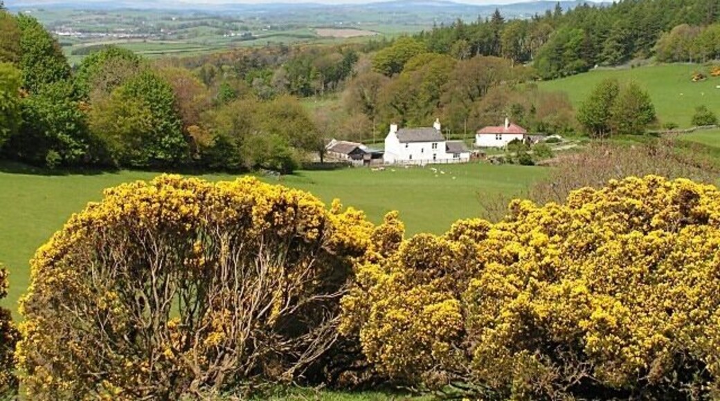 Kirkland of Gelston From Kerbers fort