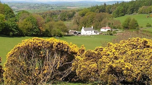 Kirkland of Gelston From Kerbers fort