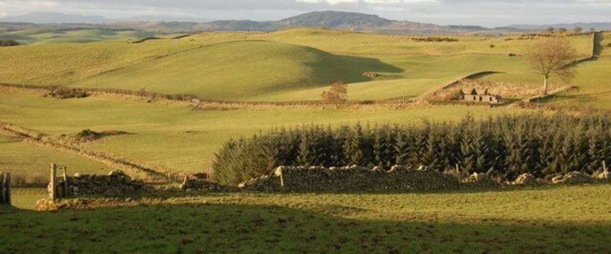 Rolling green hills, a stone wall, and a distant building.