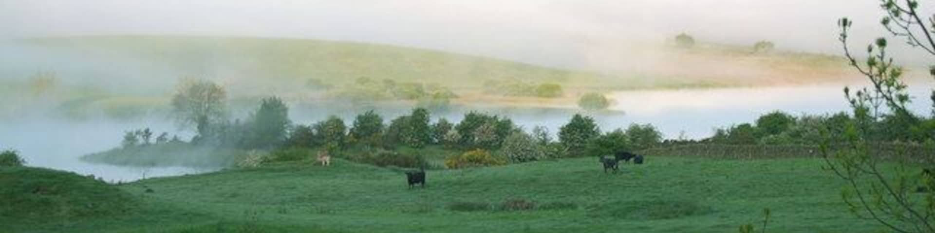 Loch Ken Taken soon after dawn after a frosty night in late May!