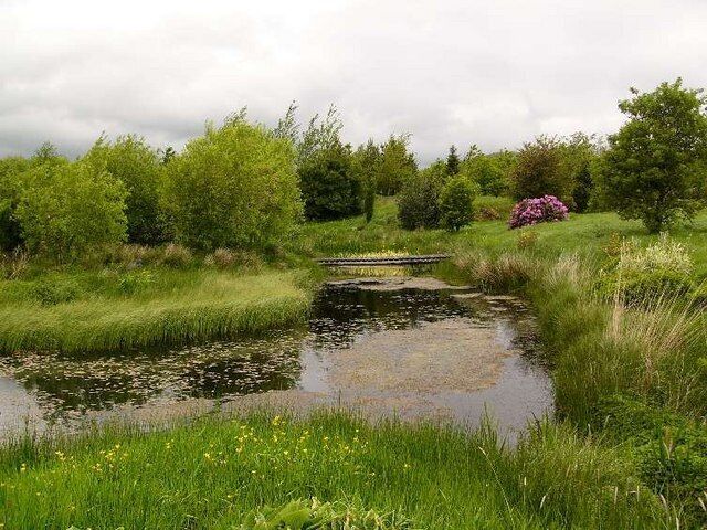 Ornamental pond, Greenhead