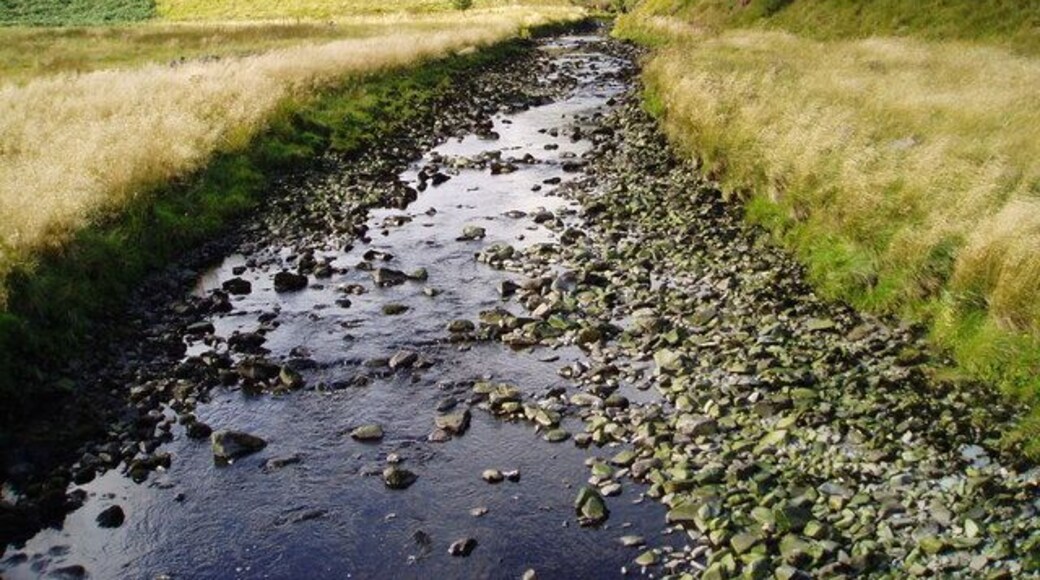 Carsphairn Lane upstream from Lamloch Bridge The level of this lane is artificially controlled by hydro electric operations.