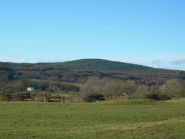 Red Kite Feeding Table The Red Kite feeding table at Bellymack Hill farm, taken before feeding time.