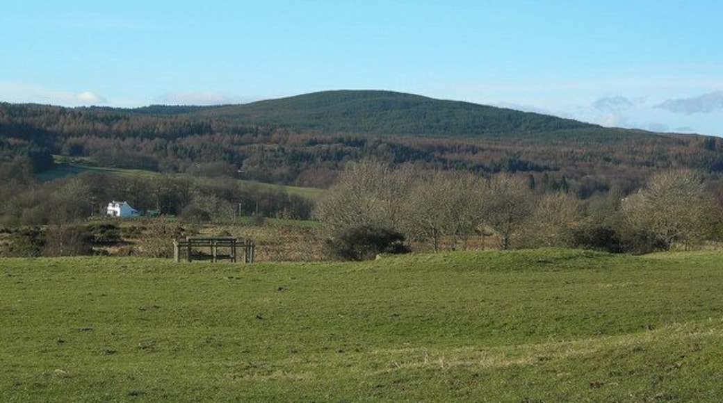 Red Kite Feeding Table The Red Kite feeding table at Bellymack Hill farm, taken before feeding time.